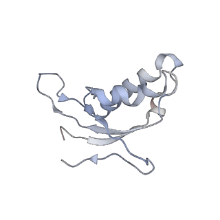4070_5lks_Ld_v1-2
Structure-function insights reveal the human ribosome as a cancer target for antibiotics