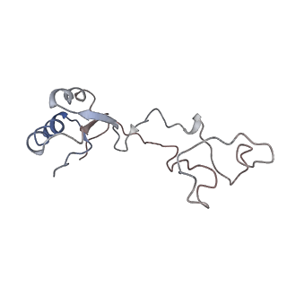 4070_5lks_Le_v1-2
Structure-function insights reveal the human ribosome as a cancer target for antibiotics