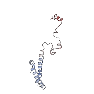 4070_5lks_Lh_v1-2
Structure-function insights reveal the human ribosome as a cancer target for antibiotics