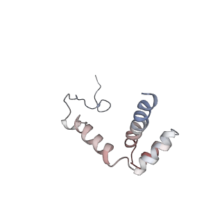 4070_5lks_Li_v1-2
Structure-function insights reveal the human ribosome as a cancer target for antibiotics