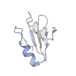 4070_5lks_Lk_v1-2
Structure-function insights reveal the human ribosome as a cancer target for antibiotics