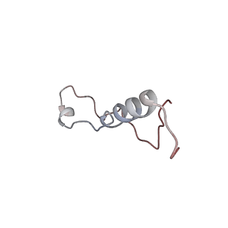 4070_5lks_Ll_v1-2
Structure-function insights reveal the human ribosome as a cancer target for antibiotics