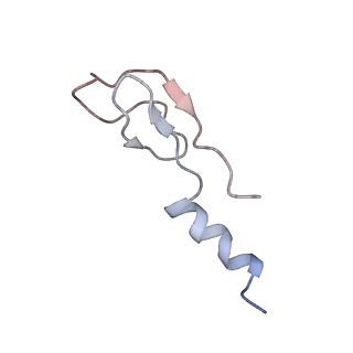 4070_5lks_Lm_v1-2
Structure-function insights reveal the human ribosome as a cancer target for antibiotics