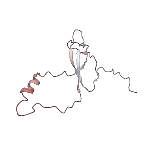 4070_5lks_Lo_v1-2
Structure-function insights reveal the human ribosome as a cancer target for antibiotics