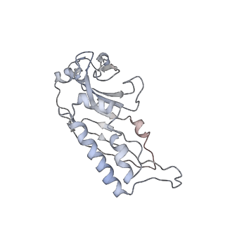 4070_5lks_SB_v1-2
Structure-function insights reveal the human ribosome as a cancer target for antibiotics