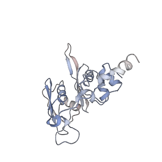 4070_5lks_SC_v1-2
Structure-function insights reveal the human ribosome as a cancer target for antibiotics
