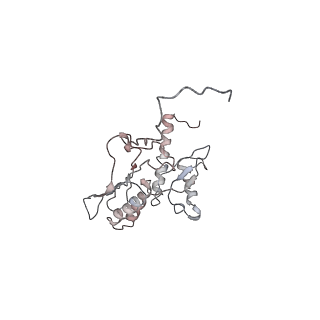 4070_5lks_SD_v1-2
Structure-function insights reveal the human ribosome as a cancer target for antibiotics