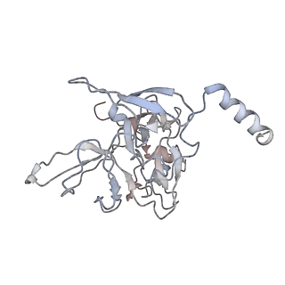 4070_5lks_SE_v1-2
Structure-function insights reveal the human ribosome as a cancer target for antibiotics