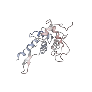 4070_5lks_SF_v1-2
Structure-function insights reveal the human ribosome as a cancer target for antibiotics