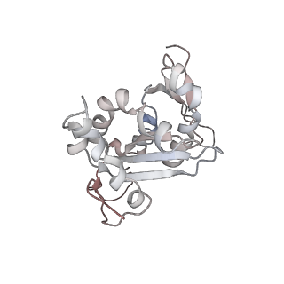 4070_5lks_SH_v1-2
Structure-function insights reveal the human ribosome as a cancer target for antibiotics