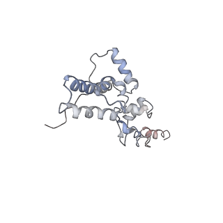 4070_5lks_SJ_v1-2
Structure-function insights reveal the human ribosome as a cancer target for antibiotics