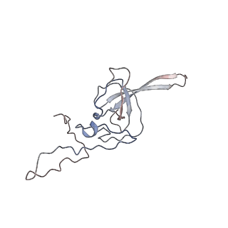 4070_5lks_SL_v1-2
Structure-function insights reveal the human ribosome as a cancer target for antibiotics
