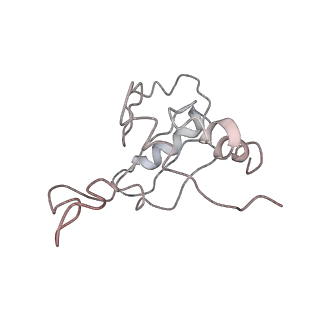 4070_5lks_SM_v1-2
Structure-function insights reveal the human ribosome as a cancer target for antibiotics