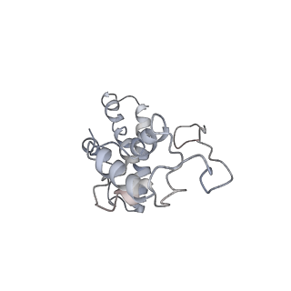 4070_5lks_SN_v1-2
Structure-function insights reveal the human ribosome as a cancer target for antibiotics