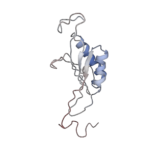 4070_5lks_SO_v1-2
Structure-function insights reveal the human ribosome as a cancer target for antibiotics