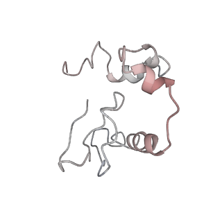 4070_5lks_SP_v1-2
Structure-function insights reveal the human ribosome as a cancer target for antibiotics