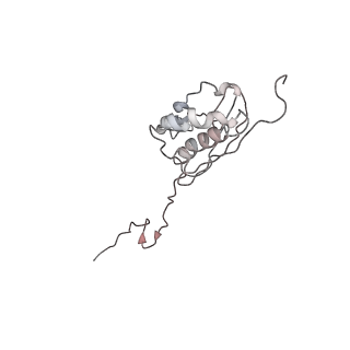 4070_5lks_SQ_v1-2
Structure-function insights reveal the human ribosome as a cancer target for antibiotics