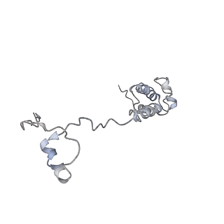 4070_5lks_SR_v1-2
Structure-function insights reveal the human ribosome as a cancer target for antibiotics