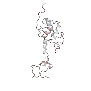 4070_5lks_SS_v1-2
Structure-function insights reveal the human ribosome as a cancer target for antibiotics