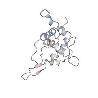 4070_5lks_ST_v1-2
Structure-function insights reveal the human ribosome as a cancer target for antibiotics