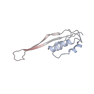 4070_5lks_SU_v1-2
Structure-function insights reveal the human ribosome as a cancer target for antibiotics
