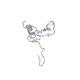 4070_5lks_SV_v1-2
Structure-function insights reveal the human ribosome as a cancer target for antibiotics