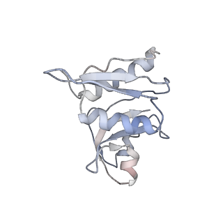 4070_5lks_SW_v1-2
Structure-function insights reveal the human ribosome as a cancer target for antibiotics