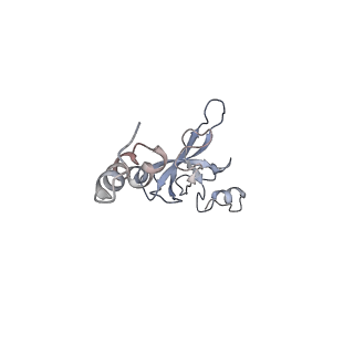 4070_5lks_SX_v1-2
Structure-function insights reveal the human ribosome as a cancer target for antibiotics