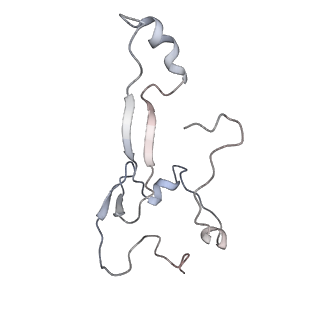 4070_5lks_Sa_v1-2
Structure-function insights reveal the human ribosome as a cancer target for antibiotics