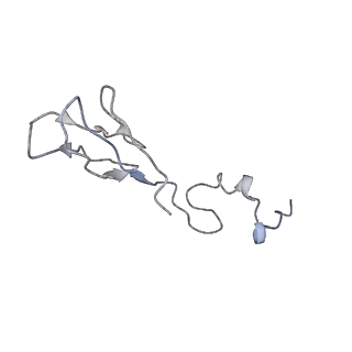 4070_5lks_Sb_v1-2
Structure-function insights reveal the human ribosome as a cancer target for antibiotics