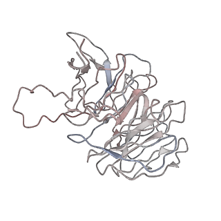 4070_5lks_Sg_v1-2
Structure-function insights reveal the human ribosome as a cancer target for antibiotics