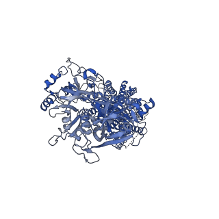 0912_6lle_A_v1-2
CryoEM structure of SERCA2b WT in E1-2Ca2+-AMPPCP state.