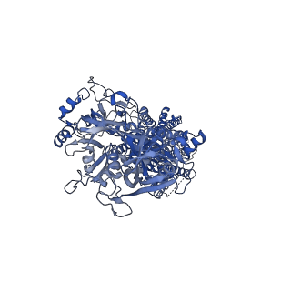 0912_6lle_A_v1-3
CryoEM structure of SERCA2b WT in E1-2Ca2+-AMPPCP state.