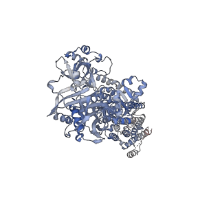 0915_6lly_A_v1-2
CryoEM structure of SERCA2b WT in E2-BeF3- state