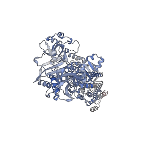 0915_6lly_A_v1-3
CryoEM structure of SERCA2b WT in E2-BeF3- state