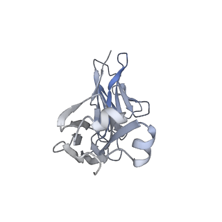 23411_7ll1_K_v1-1
Cryo-EM structure of BG505 DS-SOSIP in complex with glycan276-dependent broadly neutralizing antibody VRC40.01 Fab