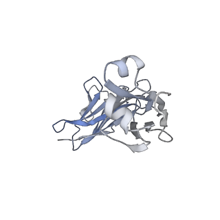 23411_7ll1_L_v1-1
Cryo-EM structure of BG505 DS-SOSIP in complex with glycan276-dependent broadly neutralizing antibody VRC40.01 Fab