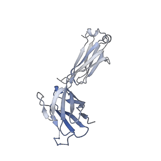 23412_7ll2_M_v1-1
Cryo-EM structure of BG505 DS-SOSIP in complex with Glycan276-Dependent Broadly Neutralizing Antibody VRC33.01 Fab