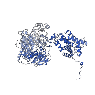 23413_7lla_A_v1-2
Structure of human ATP citrate lyase in complex with acetyl-CoA and oxaloacetate (EM map was generated in Cryosparc with non-uniform refinement)