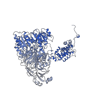 23413_7lla_B_v1-2
Structure of human ATP citrate lyase in complex with acetyl-CoA and oxaloacetate (EM map was generated in Cryosparc with non-uniform refinement)