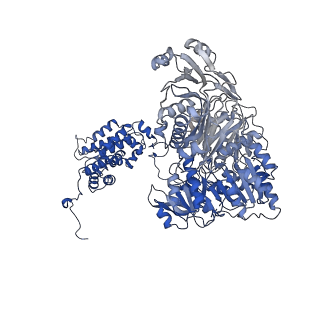 23413_7lla_C_v1-2
Structure of human ATP citrate lyase in complex with acetyl-CoA and oxaloacetate (EM map was generated in Cryosparc with non-uniform refinement)