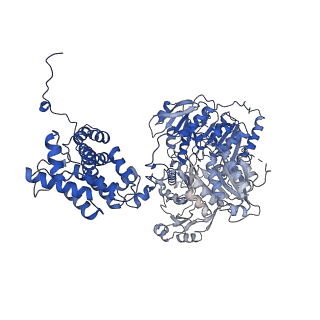 23413_7lla_D_v1-2
Structure of human ATP citrate lyase in complex with acetyl-CoA and oxaloacetate (EM map was generated in Cryosparc with non-uniform refinement)
