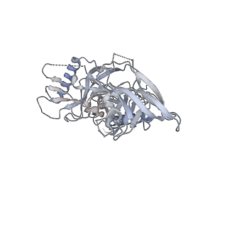 23424_7llk_E_v1-1
Cryo-EM structure of Q23.17_DS-SOSIP in complex with Glycan276-Dependent Broadly Neutralizing Antibody 179NC75 Fab