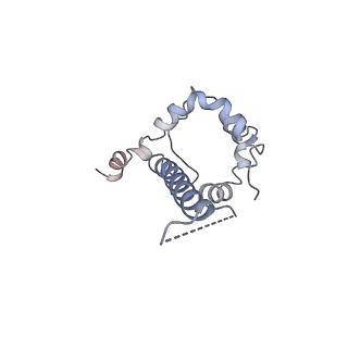23424_7llk_J_v1-1
Cryo-EM structure of Q23.17_DS-SOSIP in complex with Glycan276-Dependent Broadly Neutralizing Antibody 179NC75 Fab