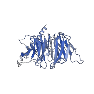 23425_7lll_B_v1-1
Exendin-4-bound Glucagon-Like Peptide-1 (GLP-1) Receptor in complex with Gs protein
