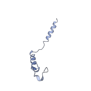 23425_7lll_G_v1-1
Exendin-4-bound Glucagon-Like Peptide-1 (GLP-1) Receptor in complex with Gs protein