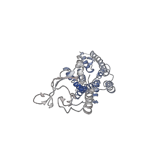 23425_7lll_R_v1-1
Exendin-4-bound Glucagon-Like Peptide-1 (GLP-1) Receptor in complex with Gs protein