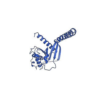 23436_7lly_A_v1-1
Oxyntomodulin-bound Glucagon-Like Peptide-1 (GLP-1) Receptor in complex with Gs protein