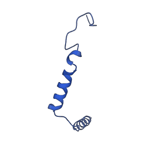 23436_7lly_G_v1-1
Oxyntomodulin-bound Glucagon-Like Peptide-1 (GLP-1) Receptor in complex with Gs protein