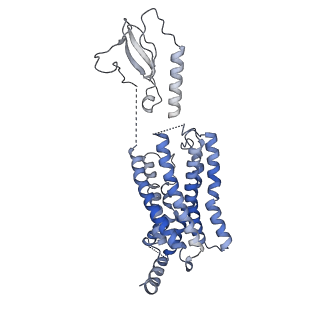 23436_7lly_R_v1-1
Oxyntomodulin-bound Glucagon-Like Peptide-1 (GLP-1) Receptor in complex with Gs protein